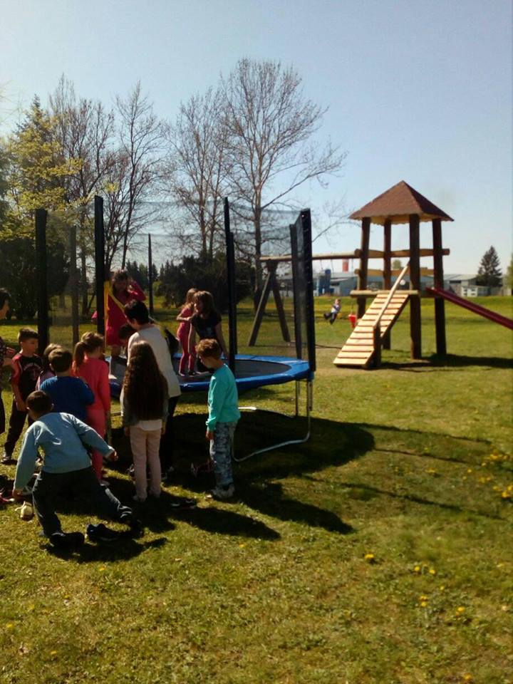 17796545_727533390751933_8315826227504478611_n