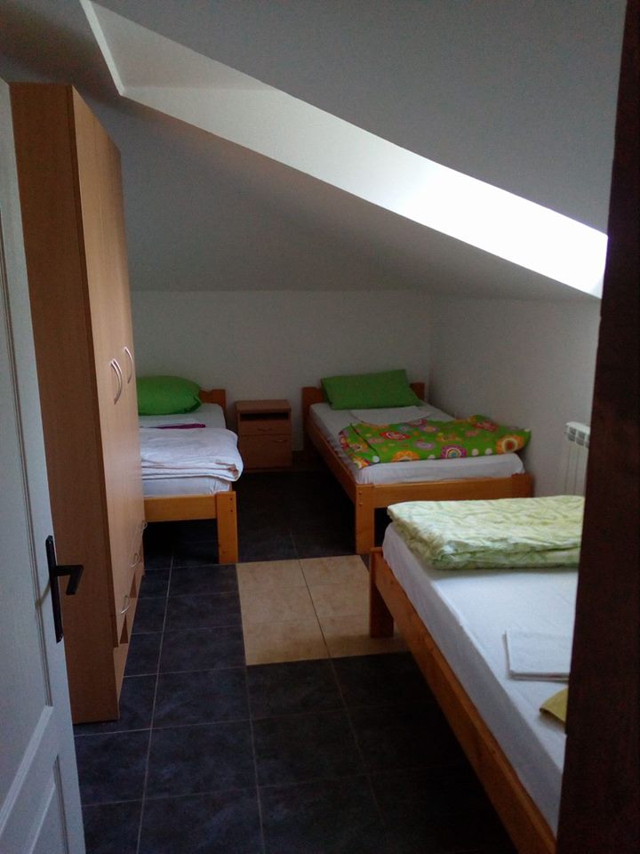 17918248_733107216861217_1479070163_n