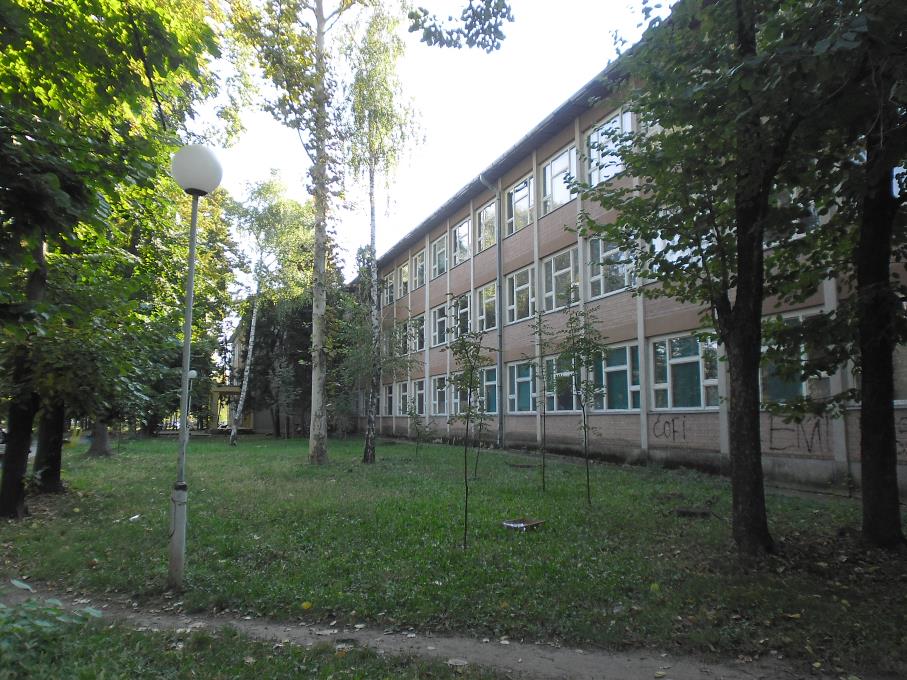 image300